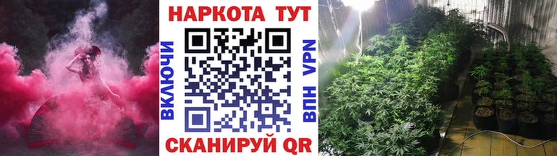 Где купить наркоту Ветлуга Гашиш  СК  Меф  Конопля  COCAIN 