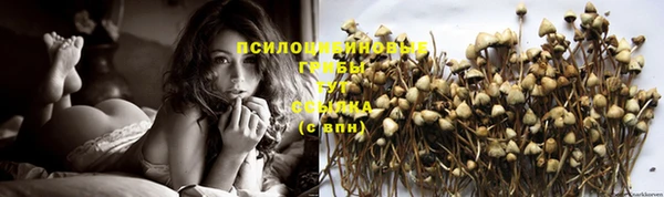 шишки Бородино