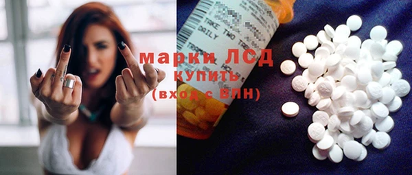 прущие грибы Бронницы