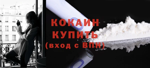 прущие грибы Бронницы