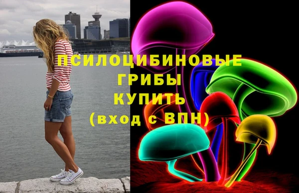 гидропоника Бугульма