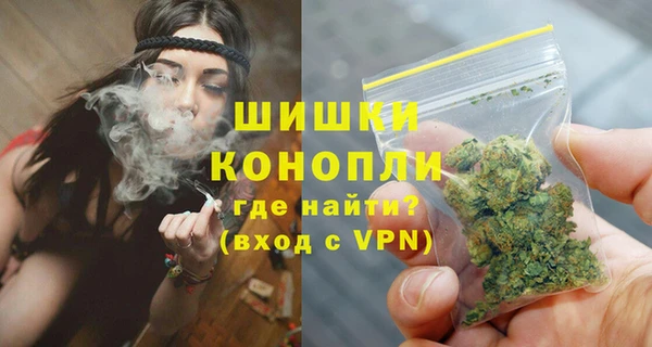 ECSTASY Белокуриха