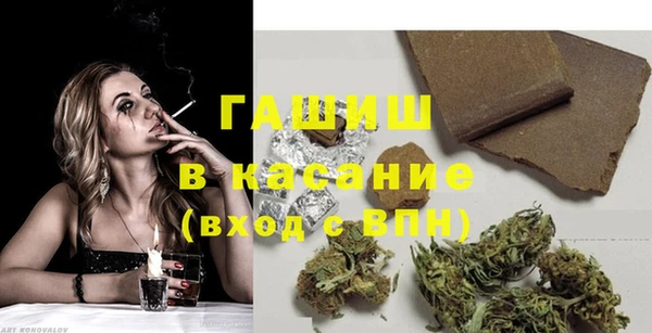 шишки Бородино