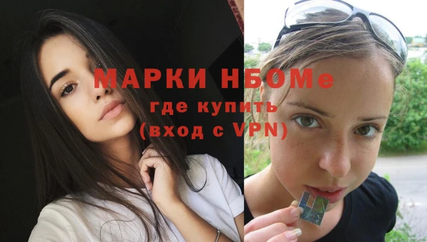 прущие грибы Бронницы