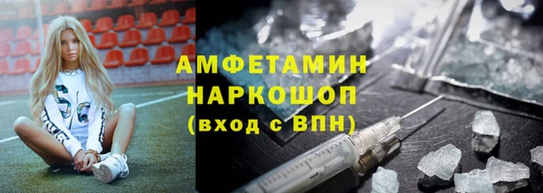 шишки Бородино